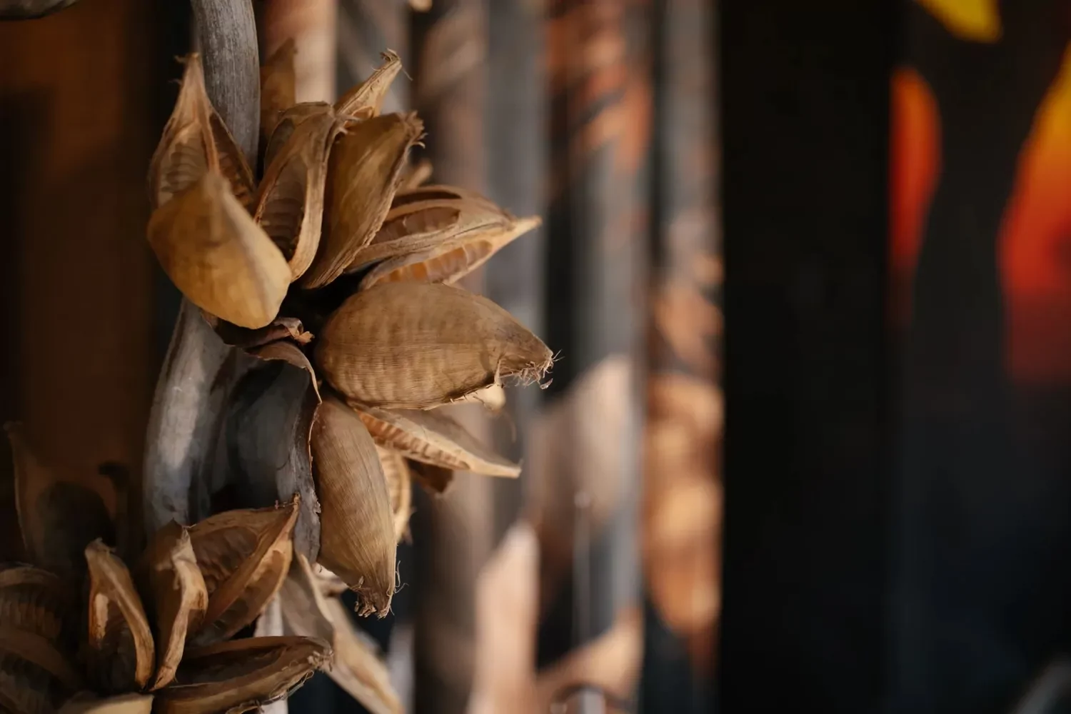 Van der Meer foto ingezoomed